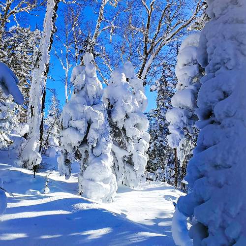 Photo #11781696