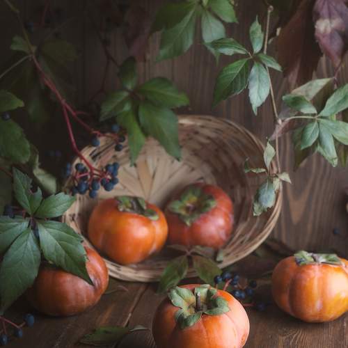 Photo #11781717