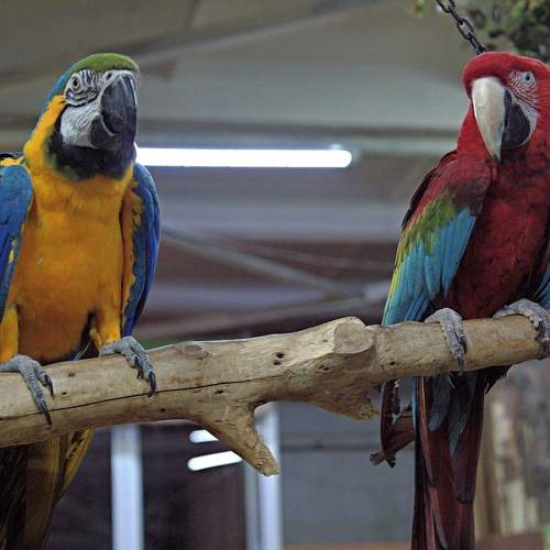 Photo #11781743