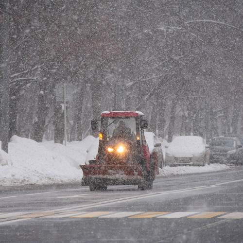 Photo #11781904