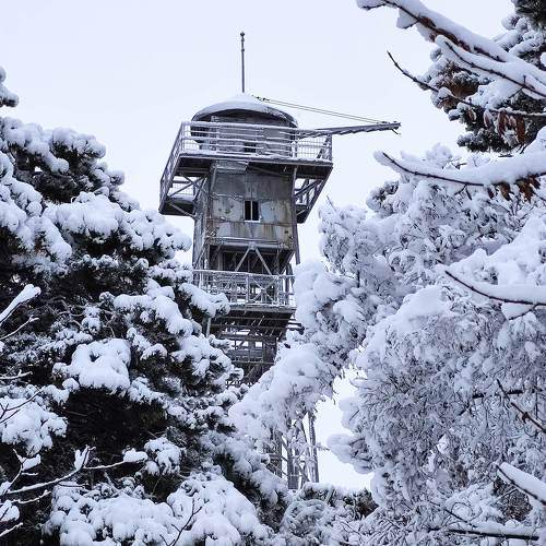 Photo #11781972