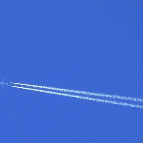 Photo #11782133