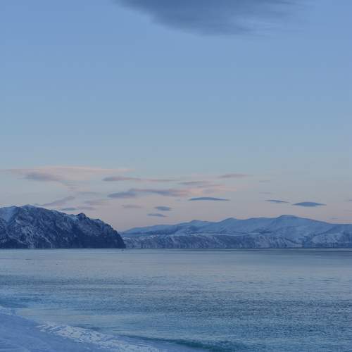 Photo #11782475
