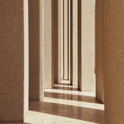 Photo #11782525