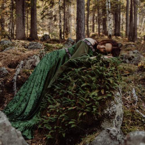 Photo #11782563