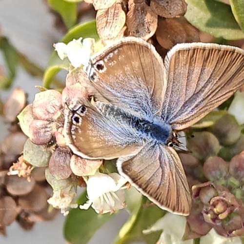 Photo #11782618