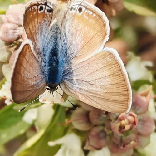 Photo #11782620