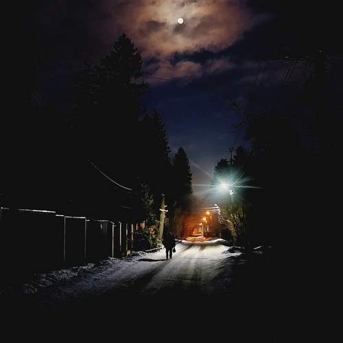Photo #11782704