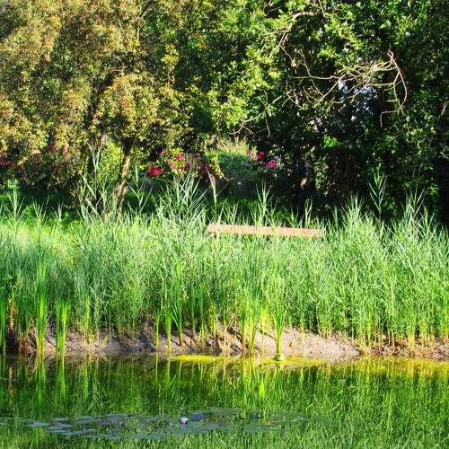 Photo #11782967