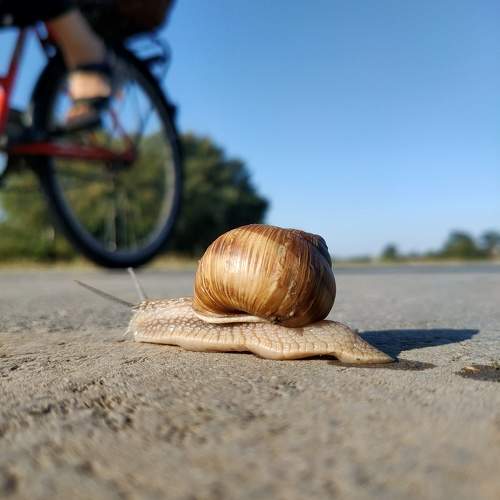 Photo #11783042