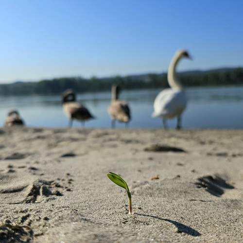 Photo #11783043