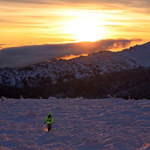 Photo #11783229