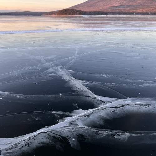 Photo #11783259