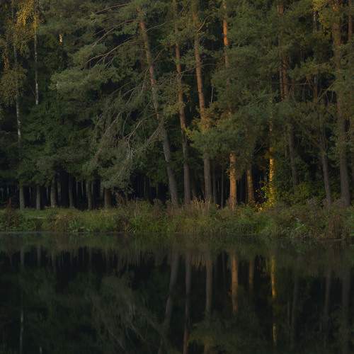 Photo #11783376