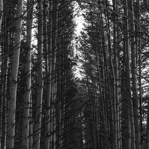 Photo #11783559