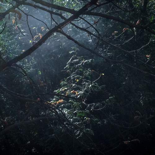 Photo #11783668