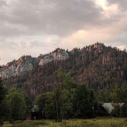 Photo #11783670