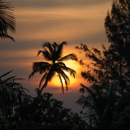 Photo #11783767