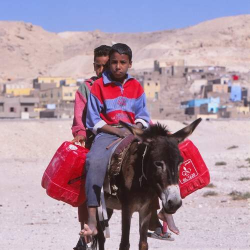 Photo #11784003