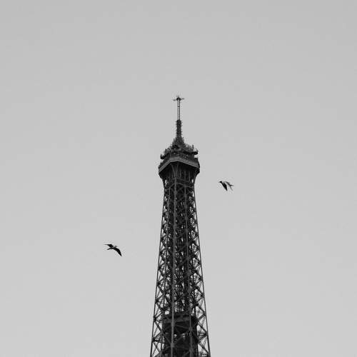 Photo #11784078