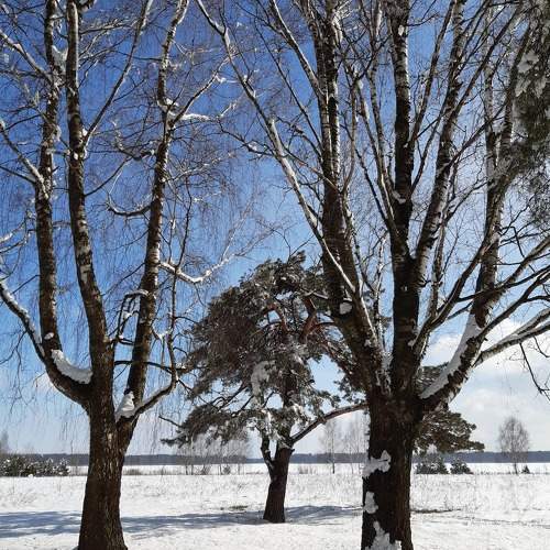 Photo #11784086