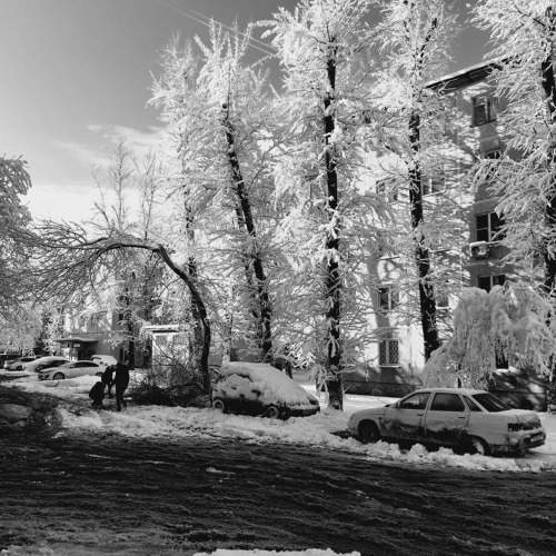 Photo #11784110