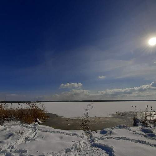 Photo #11784116