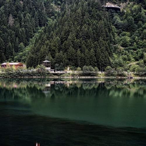 Photo #11784259