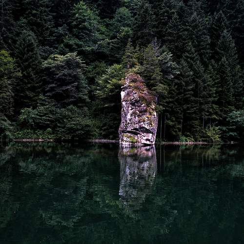 Photo #11784417