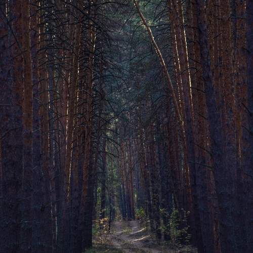 Photo #11784470