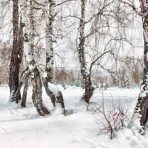 Photo #11784605