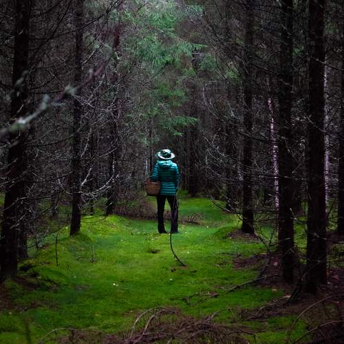 Photo #11784836