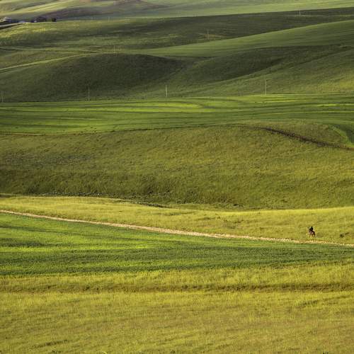 Photo #11784967