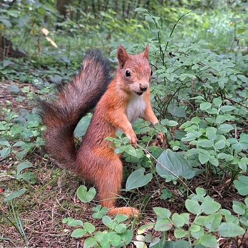 Photo #11785100