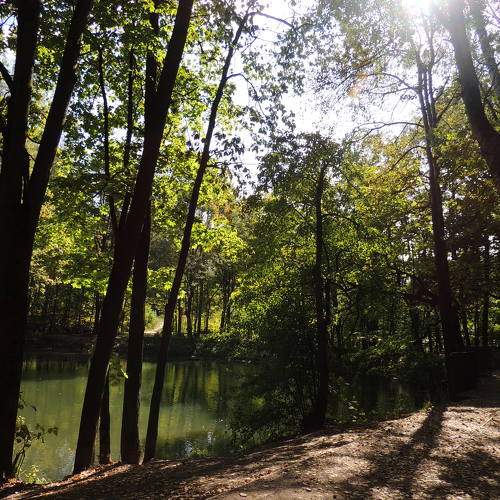 Photo #11785279