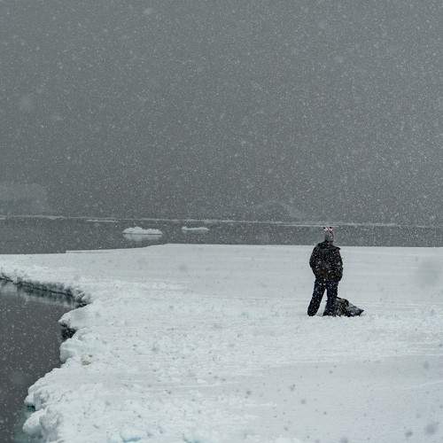 Photo #11785640