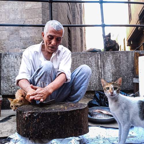 Photo #11785656