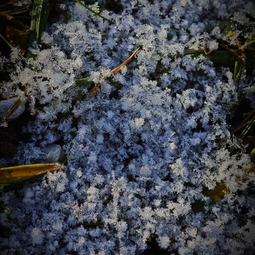 Photo #11785749