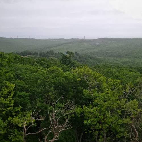 Photo #11785974