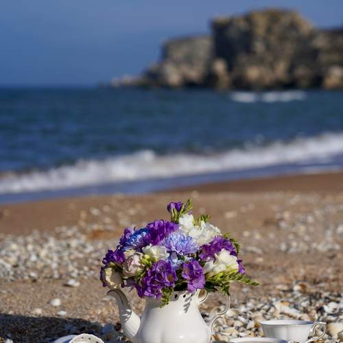 Photo #11785982
