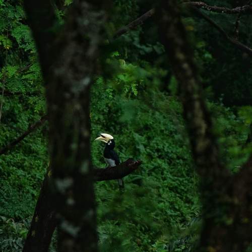 Photo #11785997