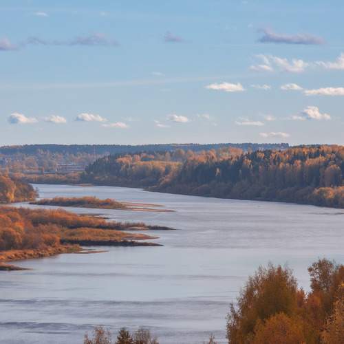 Photo #11786073