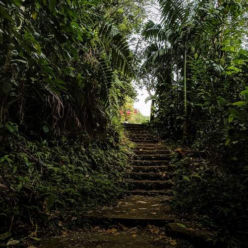 Photo #11786095