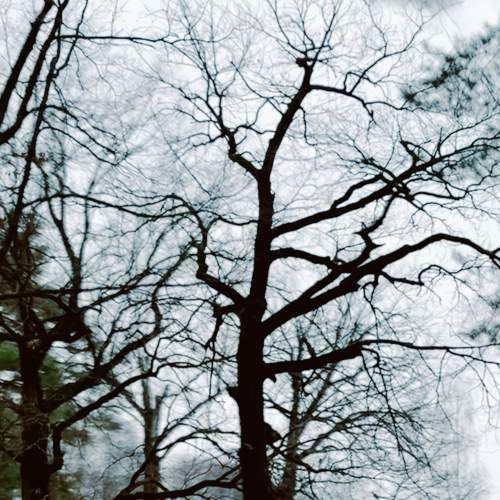 Photo #11786250