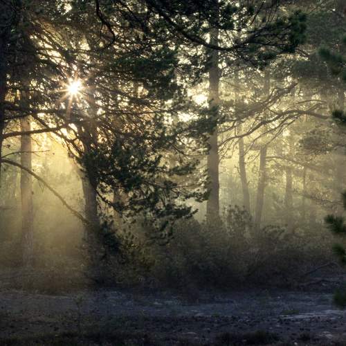 Photo #11786453