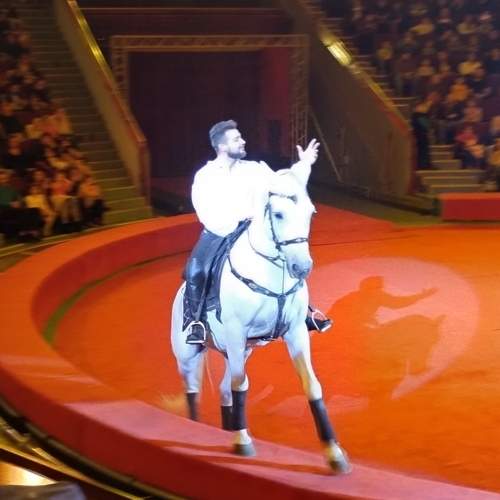 Photo #11786629