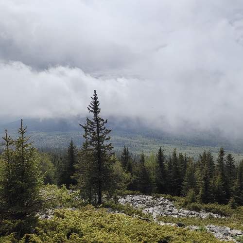 Photo #11786664