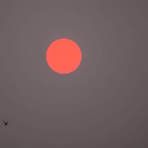 Photo #11787084