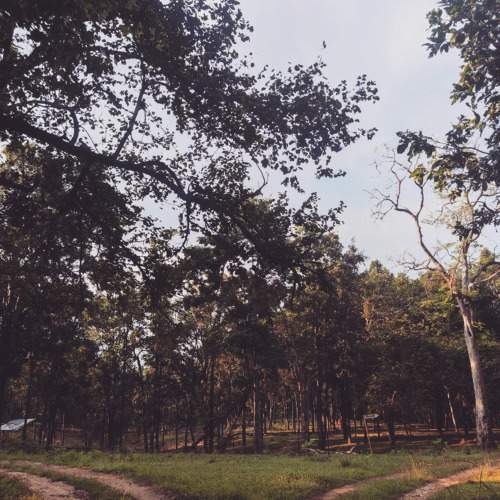 Photo #11787142