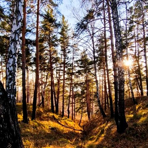 Photo #11787156